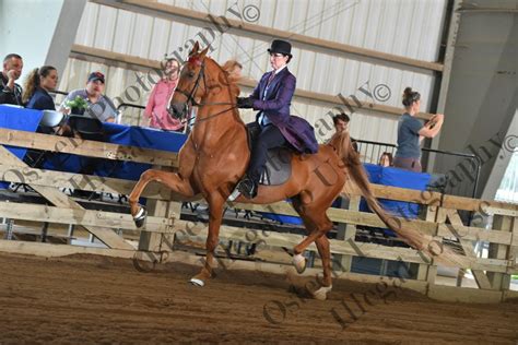 OSHKOSH CHARITY HORSE SHOW.